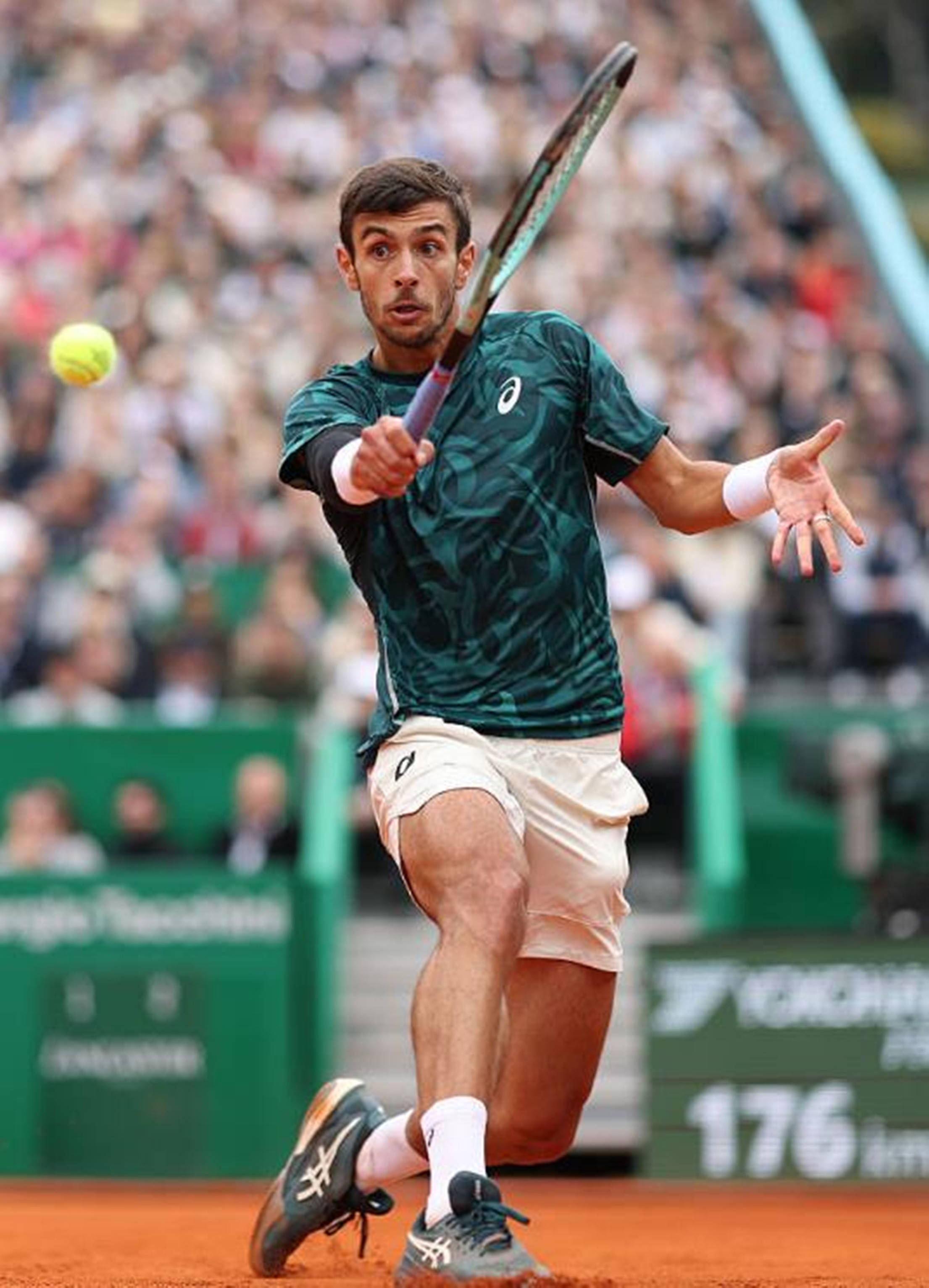 沟通和文化 沟通和文化