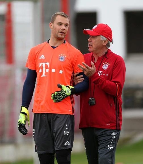 的入境者将 的入境者将